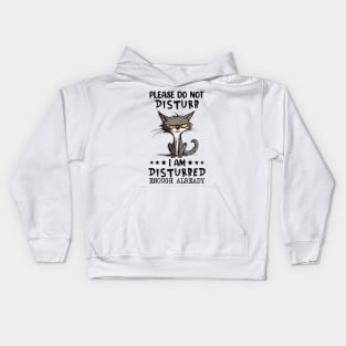 Please Do Not Disturb Kids Hoodie